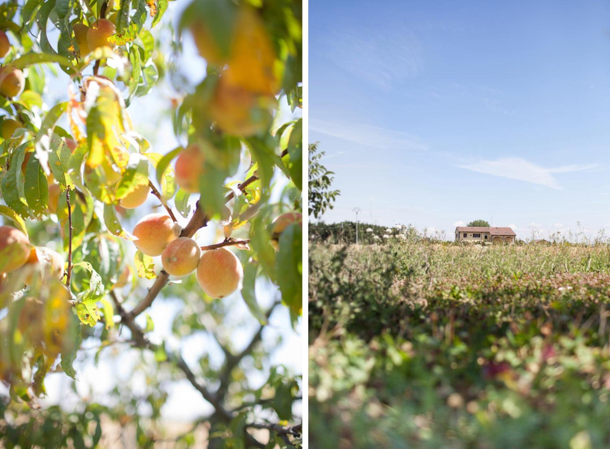 Penzion Agriturismo Il Mondo Parma Exteriér fotografie